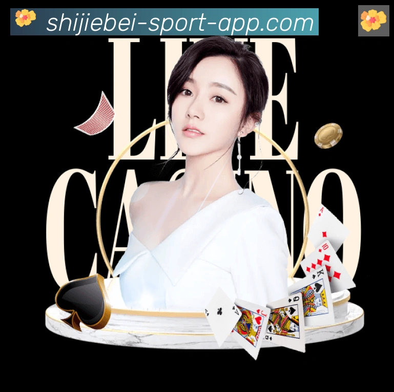 战术演练